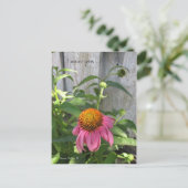 葉書恋しく思はたくさん ポストカード (スタンド正面)