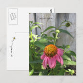 葉書恋しく思はたくさん ポストカード (正面/裏面)