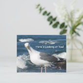 葉書：こちらカモメ見てね ポストカード (スタンド正面)