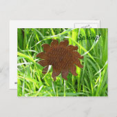 葉書 – アイアンサンフラワーin grass ポストカード (正面/裏面)