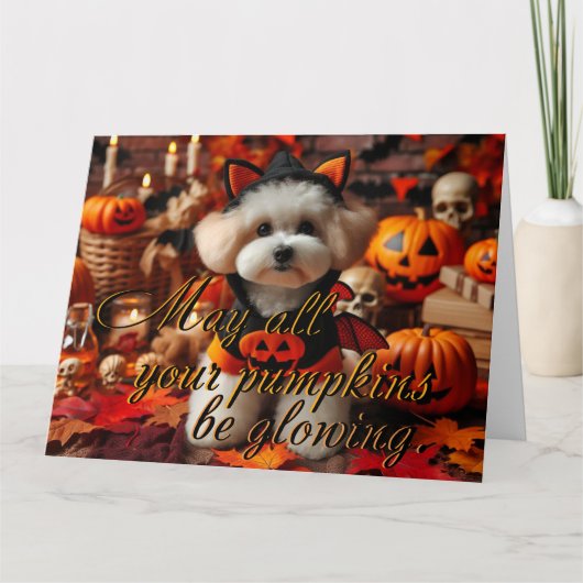 葉書「カボチャがすべてあるか白熱［赤熱］光を放つら」 カード (正面)