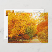 葉書・トレド植物園・秋道 ポストカード (正面/裏面)