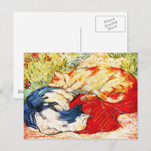 葉書:ネコ2匹 ポストカード (正面/裏面)