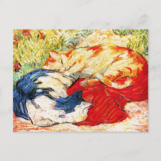 葉書：ネコ2匹 ポストカード (正面)