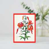 葉書 – ボタニカルピエールジョセフルドート4 ポストカード (スタンド正面)