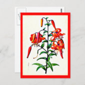 葉書 – ボタニカルピエールジョセフルドート4 ポストカード (正面/裏面)