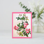 葉書 – ボタニカルピエールジョセフ14 ポストカード (スタンド正面)