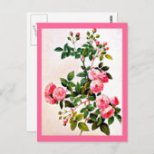 葉書 – ボタニカルピエールジョセフ14 ポストカード (正面/裏面)