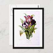 葉書 – ボタニカルピエールジョセフ・ルドート15 ポストカード (正面/裏面)