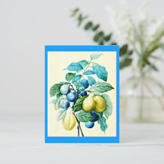 葉書 – ボタニカルピエールジョセフ・ルドート21 ポストカード (スタンド正面)