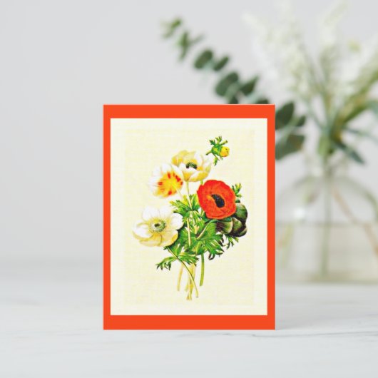 葉書 – ボタニカルピエールジョセフ・ルドート24 ポストカード (スタンド正面)