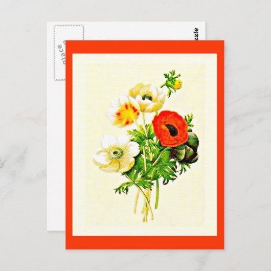 葉書 – ボタニカルピエールジョセフ・ルドート24 ポストカード (正面/裏面)