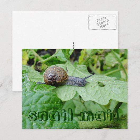 葉書 ポストカード (正面/裏面)