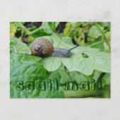 葉書 ポストカード (正面)