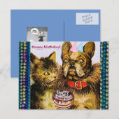 葉書 ポストカード (正面/裏面)