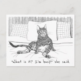 葉書:「何が欲しい?」(リリー) ポストカード