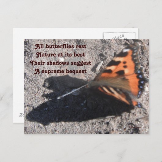 葉書　全ての蝶は休息する　レディ・バセットによる詩 ポストカード (正面/裏面)