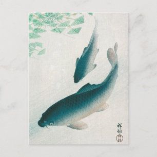 葉書:大原小村:鯉魚/コイ1926 ポストカード