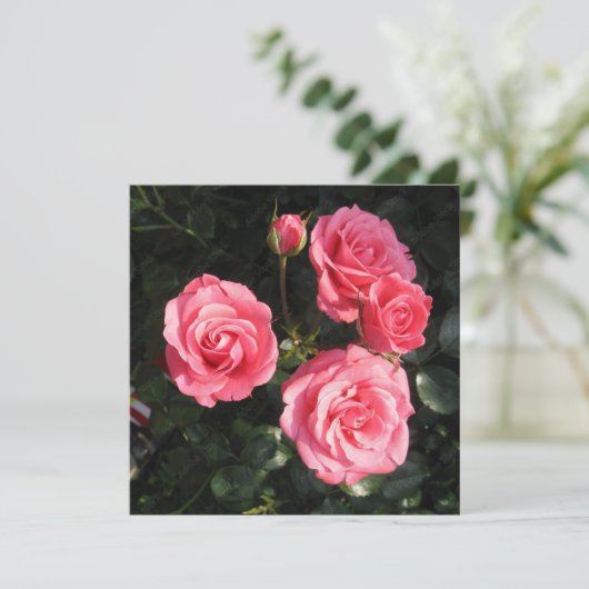 葉書 招待状 (スタンド正面)