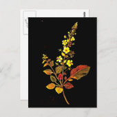 葉書 – 植物芸術 – メアリーデラニー8 ポストカード (正面/裏面)