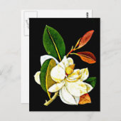 葉書-植物芸術-メアリー・デラニー1 ポストカード (正面/裏面)