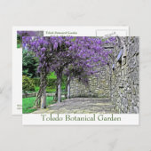 葉書「藤と庭の石垣」 ポストカード (正面/裏面)