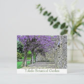 葉書「藤と庭の石垣」 ポストカード (スタンド正面)