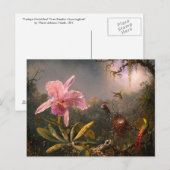 葉書：蘭とハミングバード ポストカード (正面/裏面)