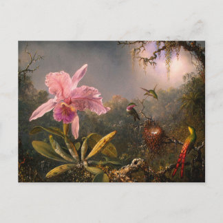 葉書：蘭とハミングバード ポストカード