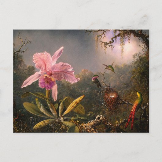 葉書：蘭とハミングバード ポストカード (正面)