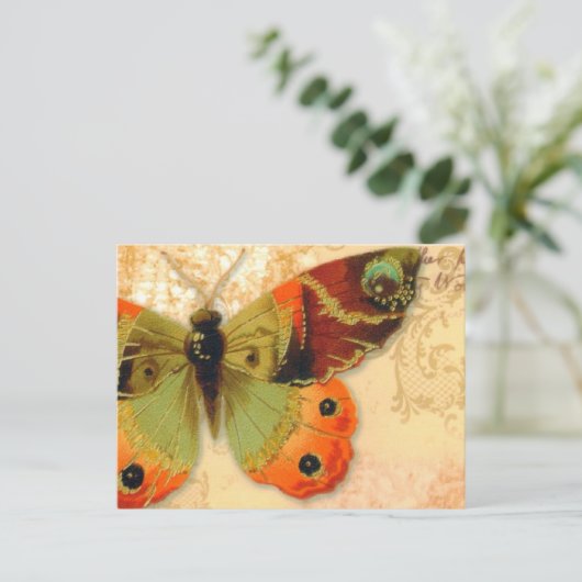 葉書「蝶」 ポストカード (スタンド正面)