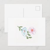 葉書、青とピンクのコスモスの花 ポストカード (正面/裏面)