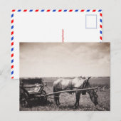 葉書「馬と馬車」 ポストカード (正面/裏面)
