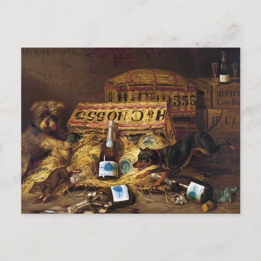 葉書：2匹の犬がネズミを追いかけるA.F.テイト ポストカード (正面)