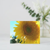 葉書 – Sunflower and Bee ポストカード (スタンド正面)