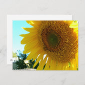 葉書 – Sunflower and Bee ポストカード (正面/裏面)
