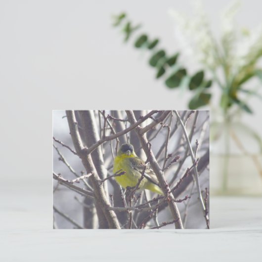 葉書 – Winter Bird ポストカード (スタンド正面)