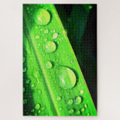 葉水滴 ジグソーパズル (縦)