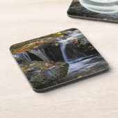 葉滝 コースター (左側)