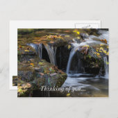 葉滝 ポストカード (正面/裏面)