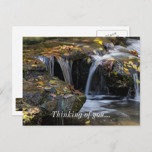 葉滝 ポストカード (正面/裏面)