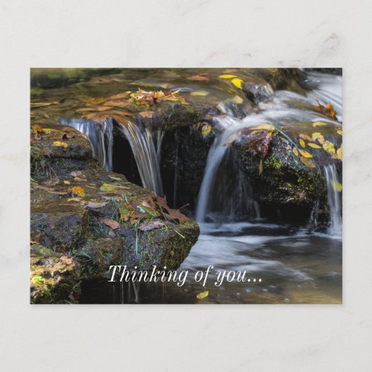 葉滝 ポストカード (正面)