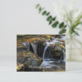 葉滝 ポストカード (スタンド正面)