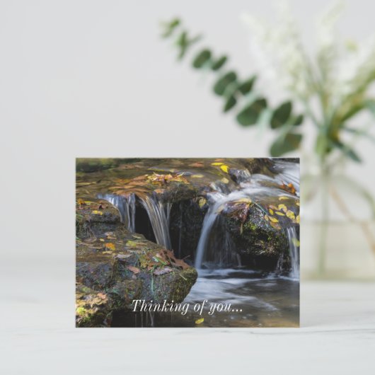 葉滝 ポストカード (スタンド正面)