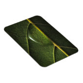 葉滴 マグネット (右側)