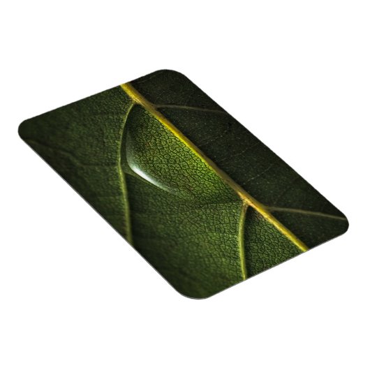 葉滴 マグネット (右側)