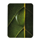 葉滴 マグネット (縦)