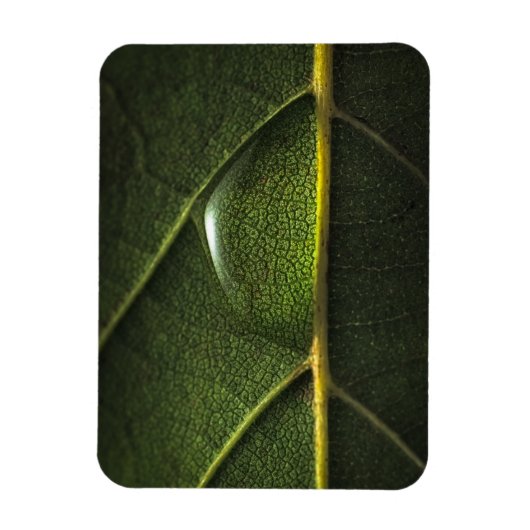 葉滴 マグネット (縦)