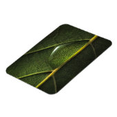 葉滴 マグネット (左側)