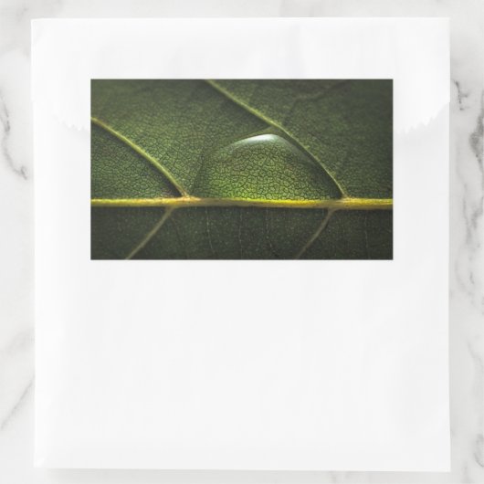 葉滴 長方形シール (バッグ)